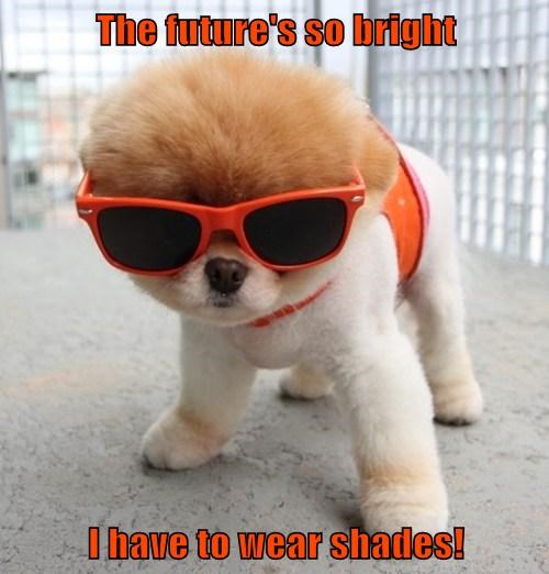 the-futures-so-bright-i-have-to-wear-shades