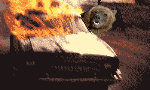 7znuYKF.gif