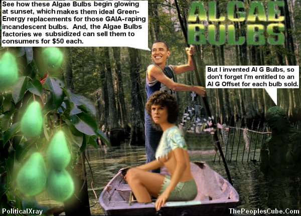 ALGAE-BULBS-0002aAa-600x431.jpg