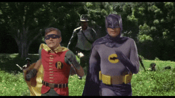 giphy.gif