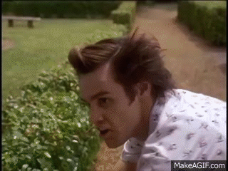 0nZaOA.gif
