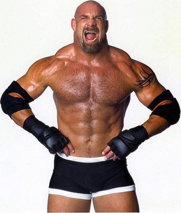 ec13ab70cdbillgoldberg.jpg