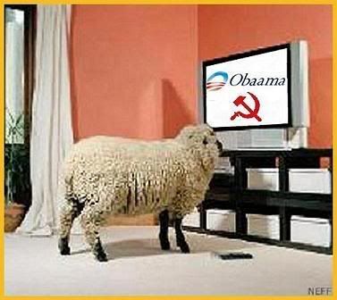 ObamaSheep.jpg