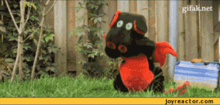 giphy.gif