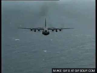 giphy.gif