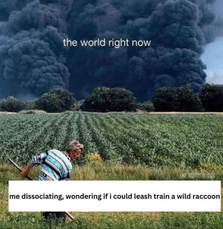 CmKXiEQ.jpeg
