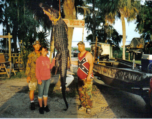 gator4.jpg