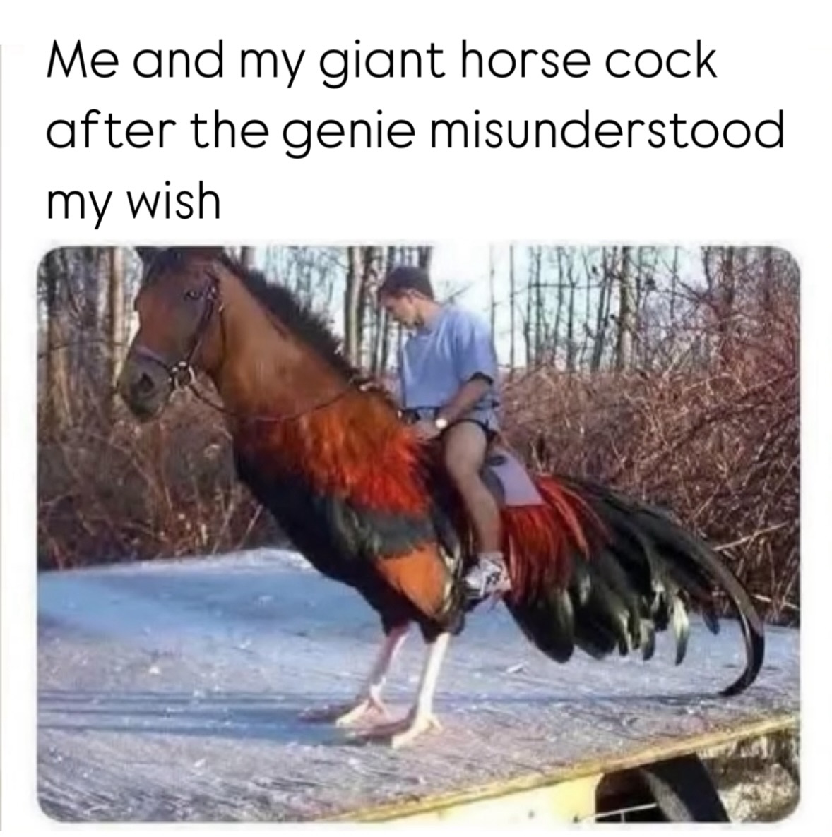 yyuWqgR.jpeg