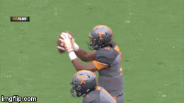 sdh0w.gif