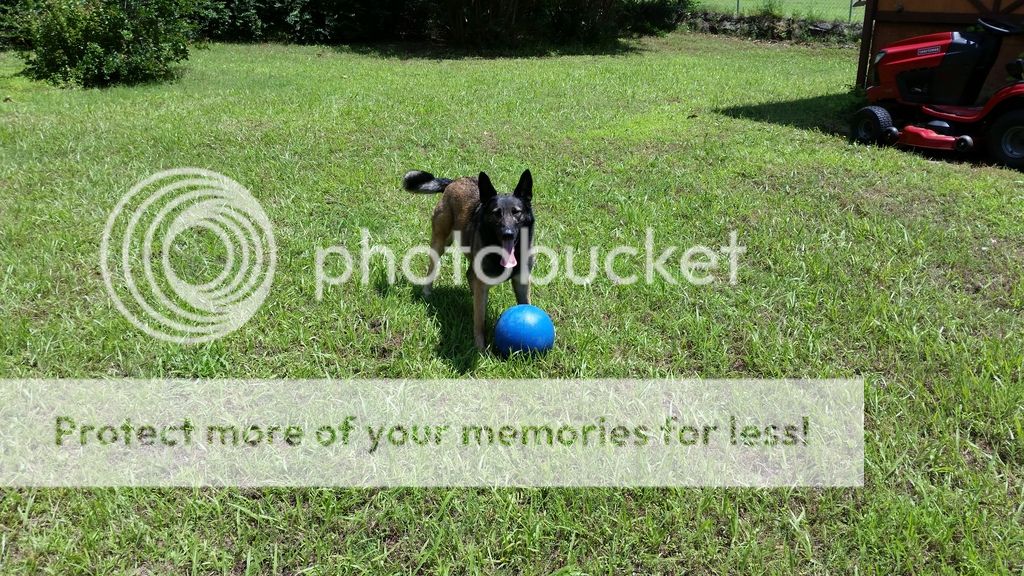 20160604_142106_zpsfxrpuh5j.jpg
