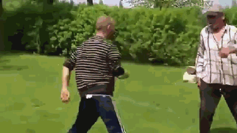 giphy.gif