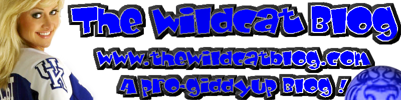 TheWildcatBlogDotComBanner.png