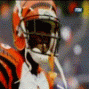 879348951_s.gif
