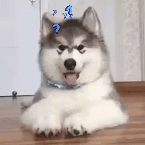 wahq8vfe16io.gif