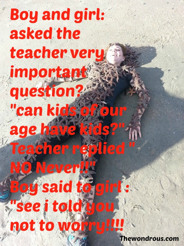 bad-jokes.jpg