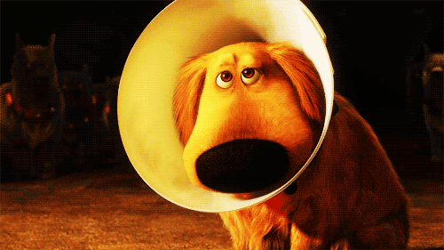 tumblr_m3r9l6vEhv1qkburho2_500.gif