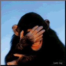 tumblr_nc8q9juftv1smmsbuo1_250.gif