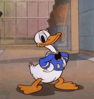 HdBsW33.gif