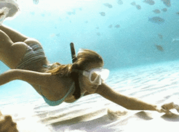 81579432.gif