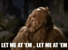 wizard-of-oz-let-me-at-em.gif
