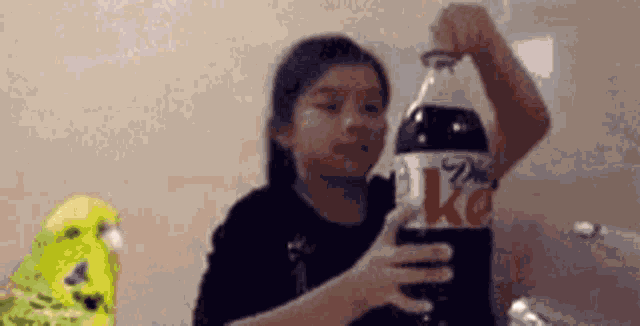 explosion-parrot.gif