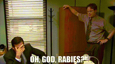 YARN | Oh, God, rabies? | The Office (2005) - S04E01 Fun Run (Part 1) |  Video gifs by quotes | d03e72c8 | 紗