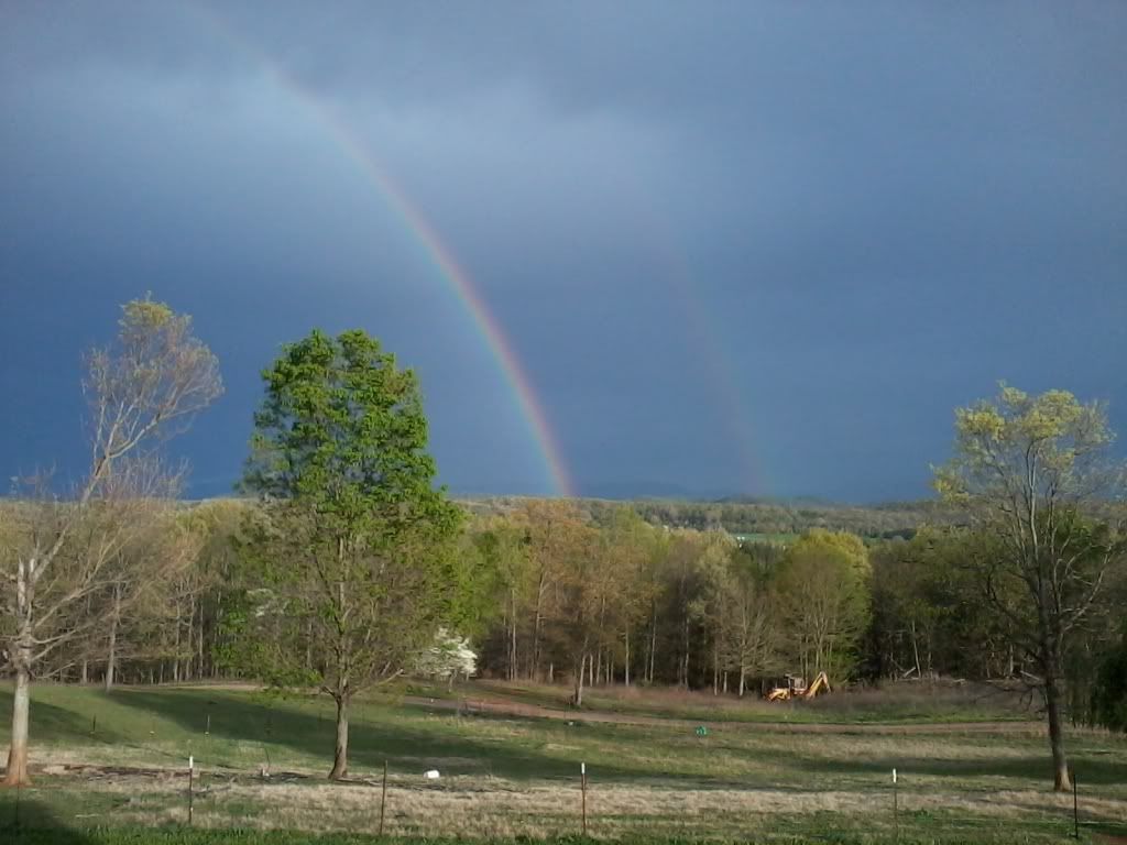 IMG_20120324_185133.jpg