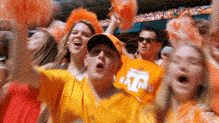UT-FANS.gif