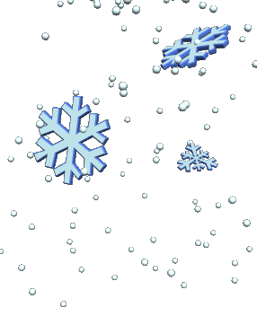 giphy.gif