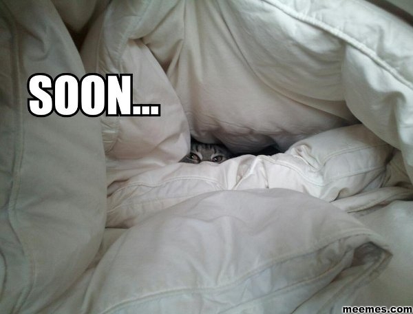 fdmax-soon17.jpg