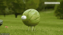 tenor.gif