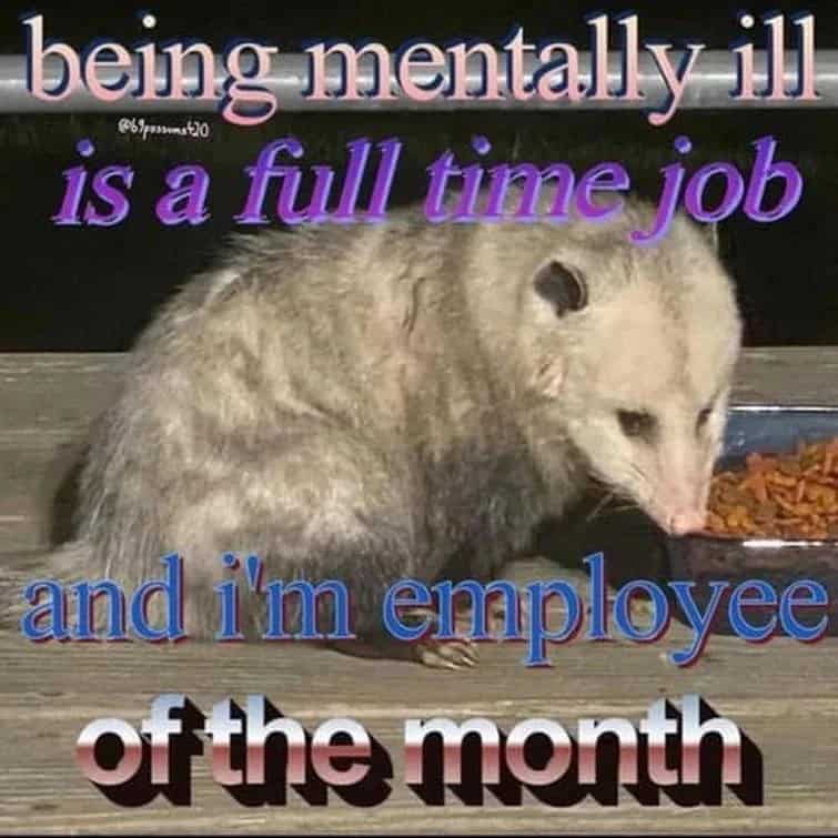 opossum-memes-30-3-24-2025.jpg