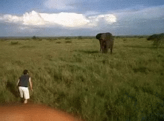 elephant-fail.gif