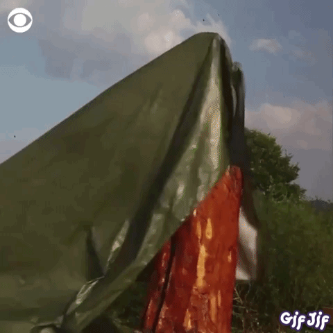 UtbyWfHTYo6gRbiFk8rt0Oj0CGwBJ9.gif
