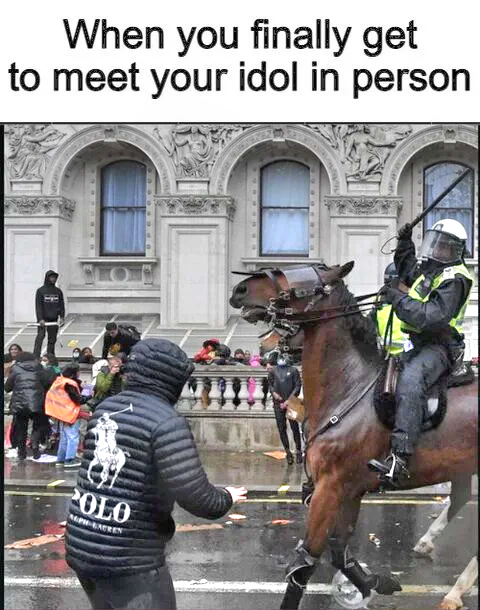 Zog2NZjQ493G.jpeg