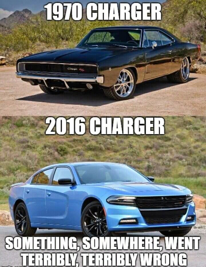 36145d60b5c4d81c1513a8de4f5ad174.jpg