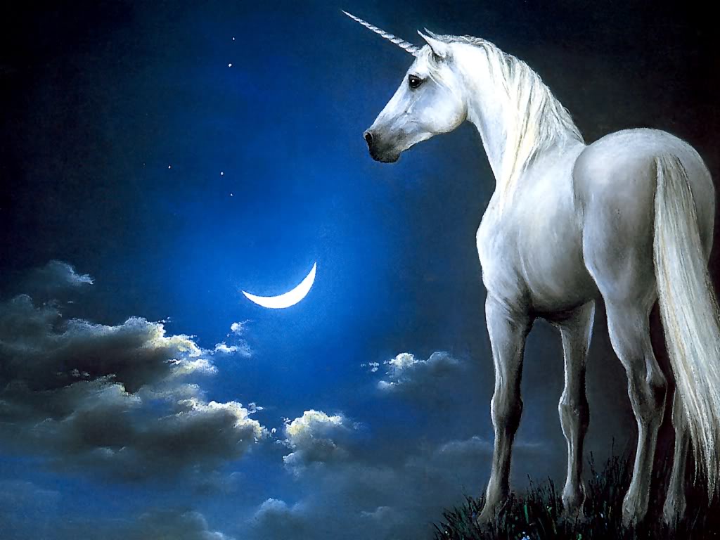 Unicorn.jpg