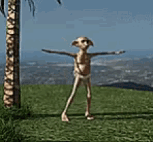 harry-potter-dobby.gif