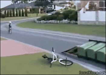 YPD1.gif
