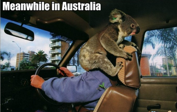 Australia-Meme-3.png