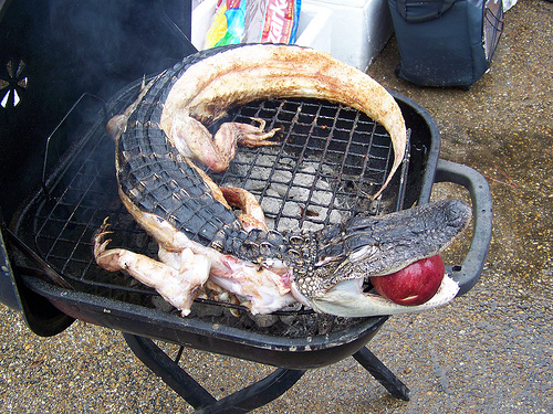 grilled+gator.jpg