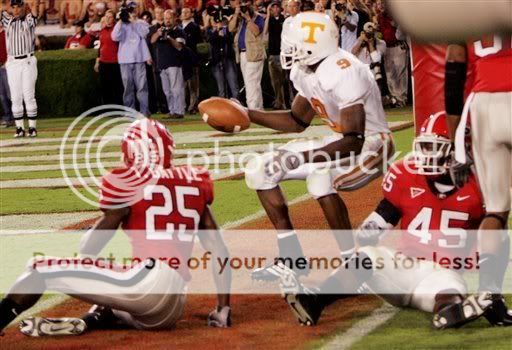 tdtennessee.jpg