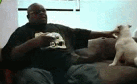 79870414-in.gif