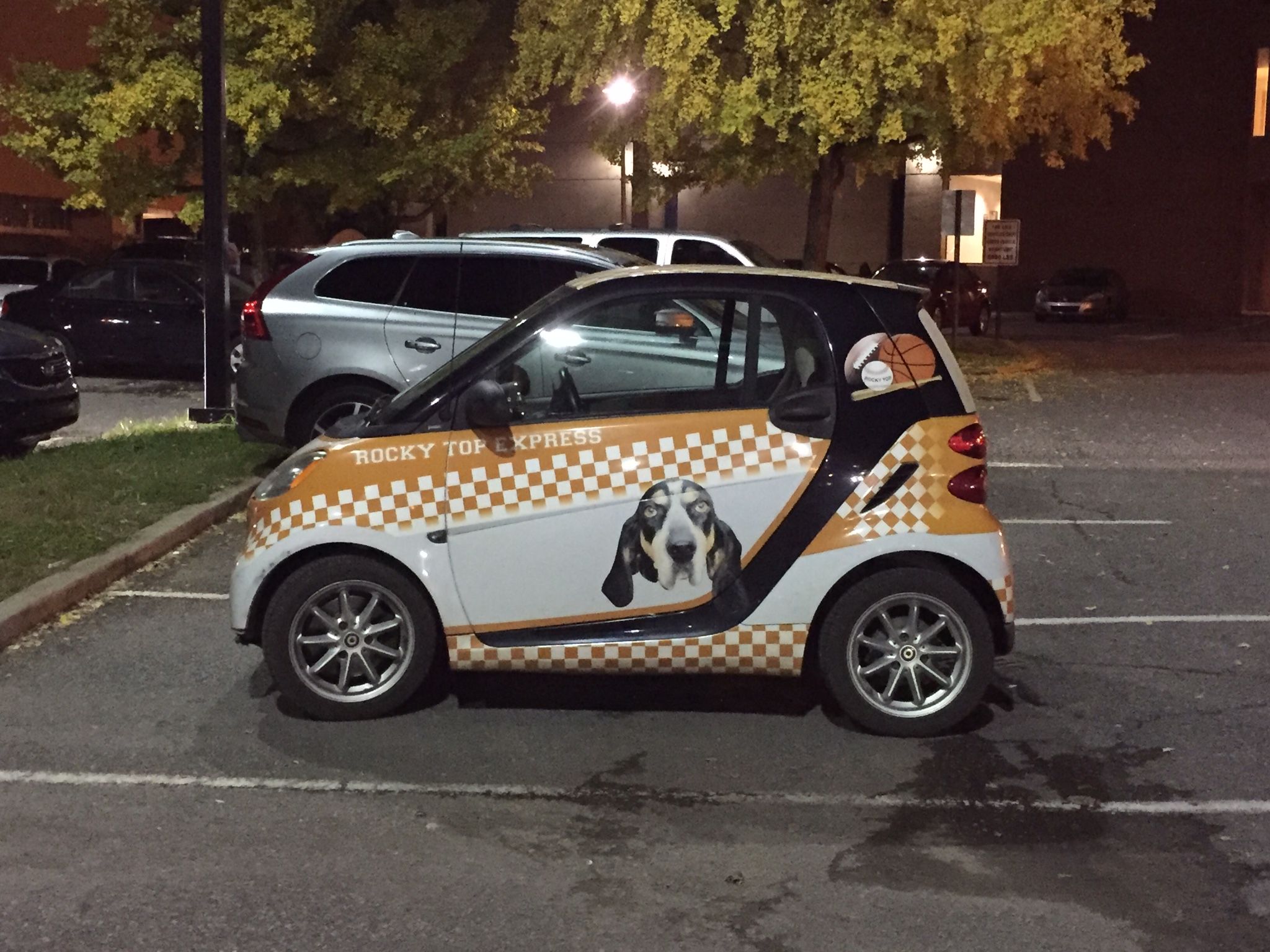 1d38f62e4dfeb933499e26284a9ea63c.jpg