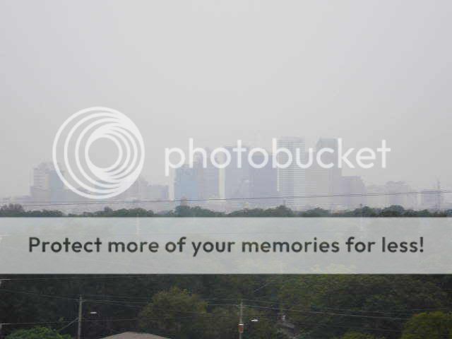 P1010002.jpg