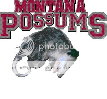 Possums.jpg