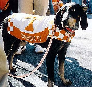 smokey-mascot--ix.jpg