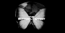 Butterfly Effect Gif GIFs | Tenor
