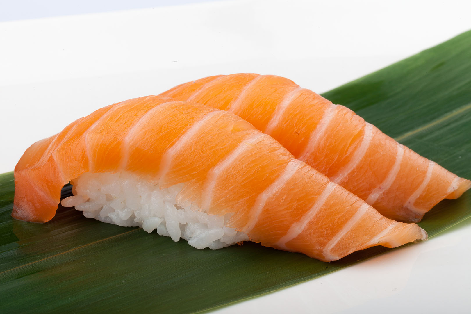 113.Salmon%20Sushi.jpg
