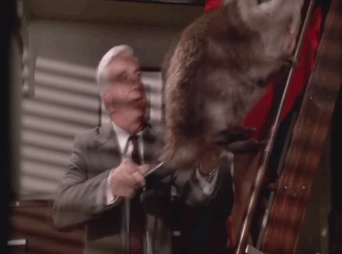 tumblr_m3rjgeGVv91rrgd02o2_500.gif